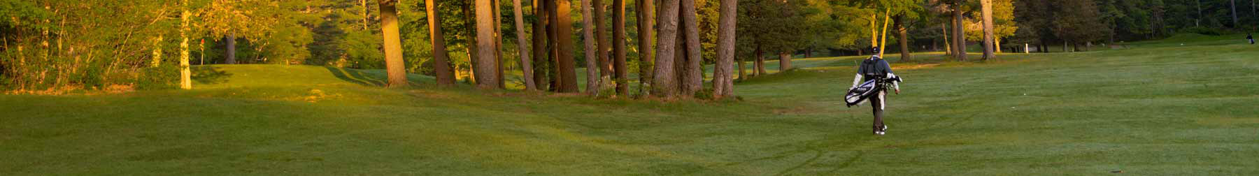 Golfer in Sunlit Golf Course Setting